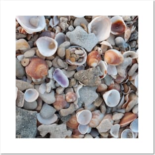 Sea-shells. pattern, shell, beach. sea. summer, sea-life. sand. Posters and Art